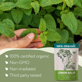 Zhivana Organics Lemon Balm Tea brewed in mug offers gentle calm.