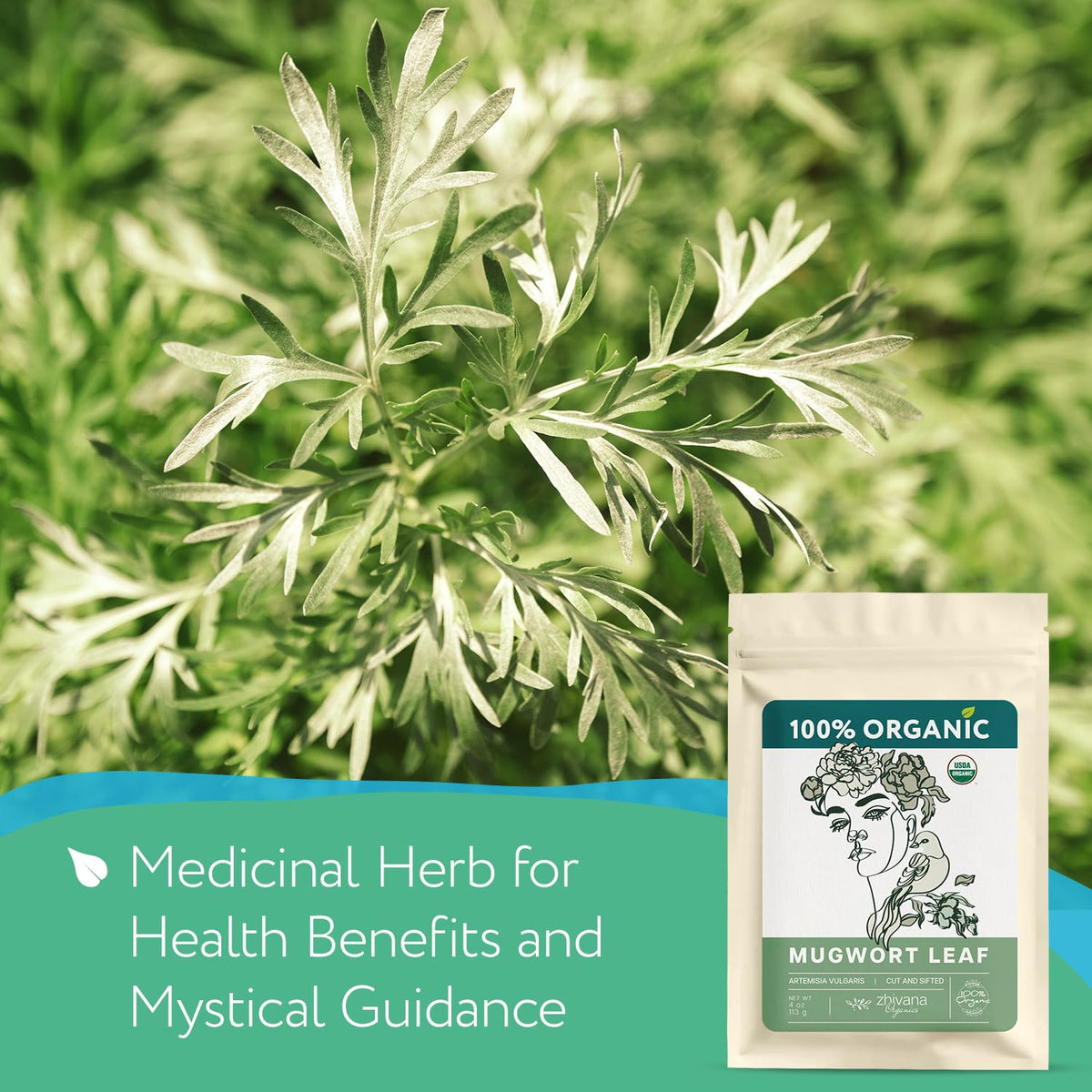 Close-up of Zhivana Organics mugwort leaves showing natural texture