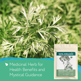 Close-up of Zhivana Organics mugwort leaves showing natural texture