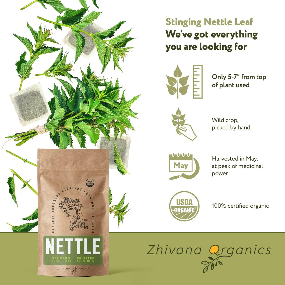 Closeup of Zhivana Organics Nettle Tea bags showing nettle leaves for fresh infusion.
