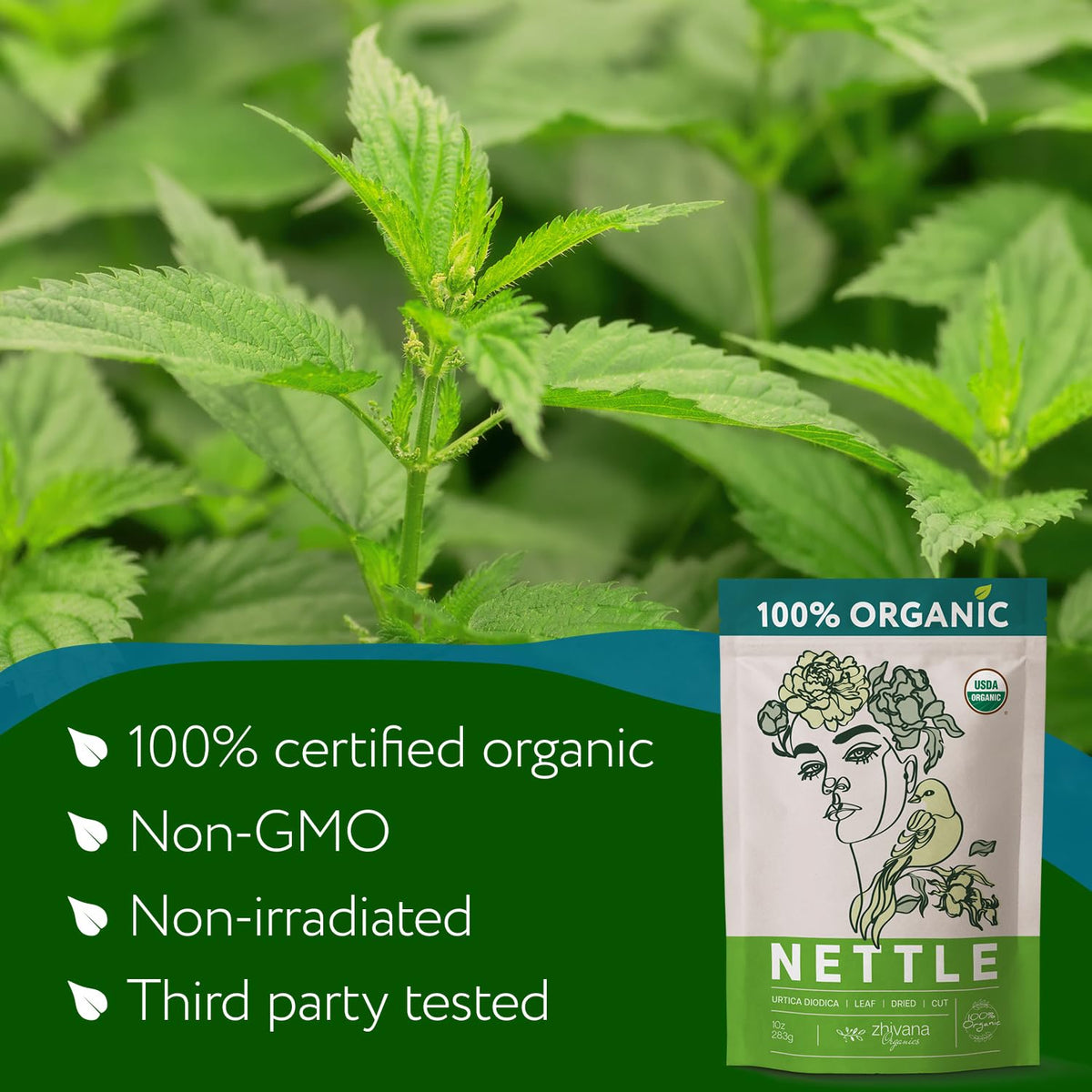 Dried nettle leaves bundle view for pantry-ready daily infusion
