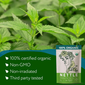 Dried nettle leaves bundle view for pantry-ready daily infusion