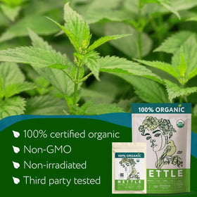 Zhivana Organics nettle tea steeped cup inviting a calm daily ritual
