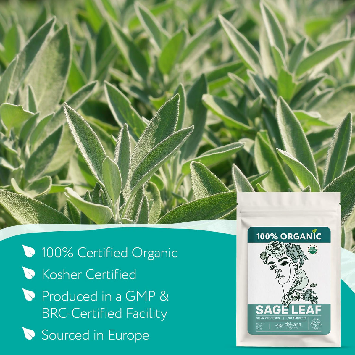 Zhivana Organics sage leaves dried closeup highlighting peppery aroma for blends.