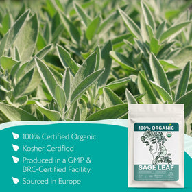 Zhivana Organics sage leaves dried closeup highlighting peppery aroma for blends.