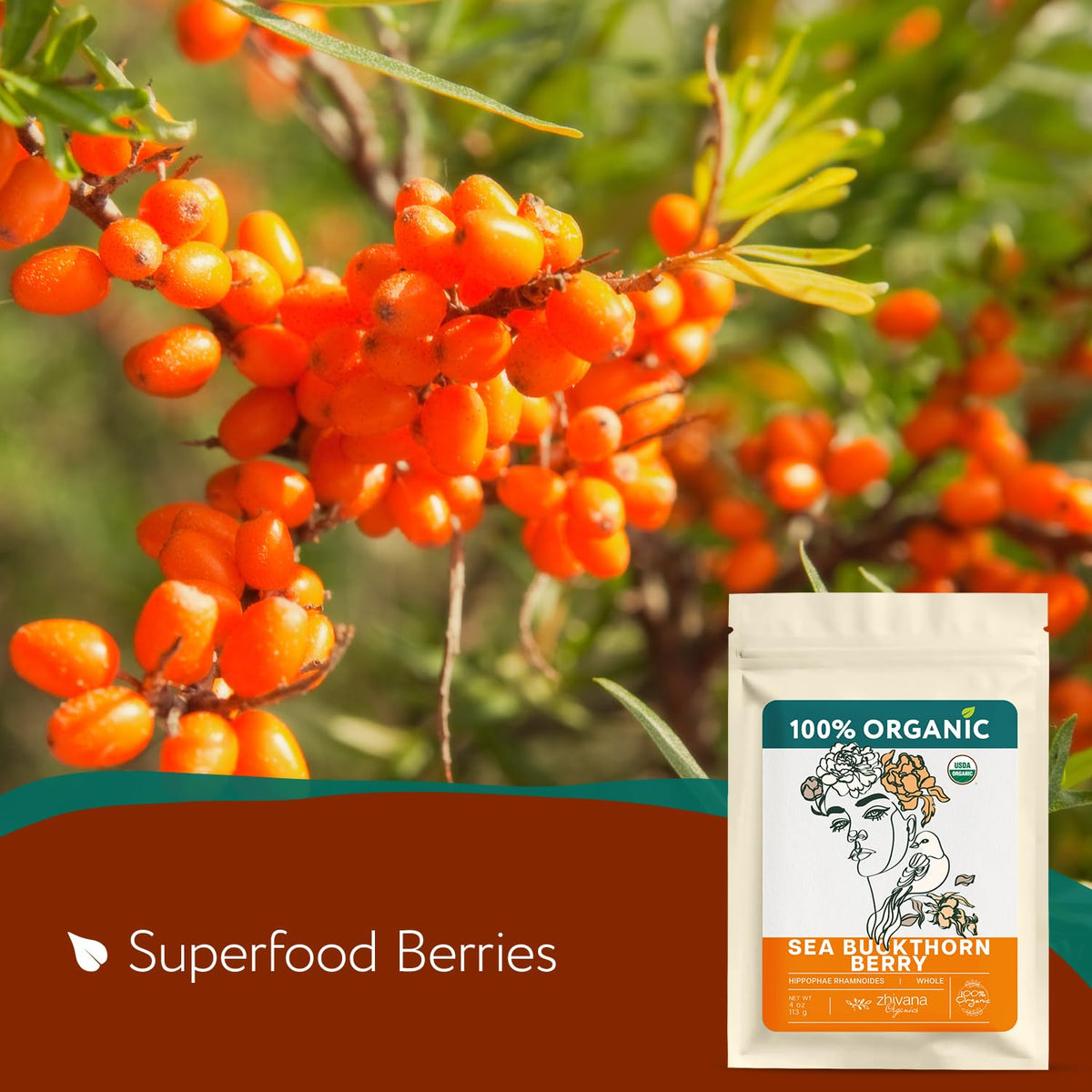 Zhivana Organics sea buckthorn berries closeup with orange hue, rich in vitamins for skin health