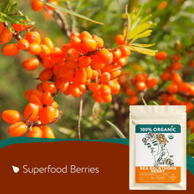 Zhivana Organics sea buckthorn berries closeup with orange hue, rich in vitamins for skin health