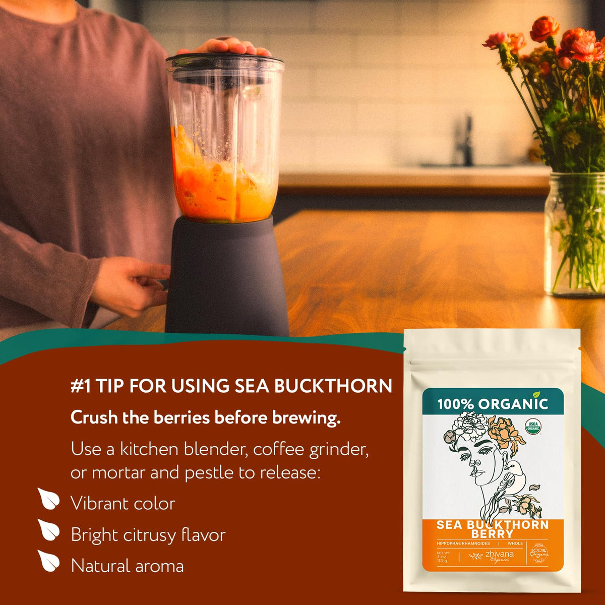 Zhivana Organics harvest hand-picking sea buckthorn berries, sustainable source