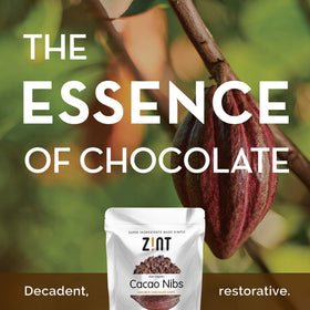 Zint Organic cacao nibs in a bowl for antioxidant-rich crunch