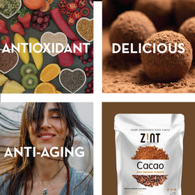 Zint Organic Cacao Powder brownies image highlighting chocolate-rich baking possibilities