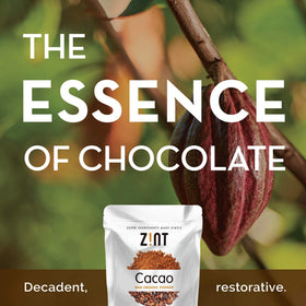 Zint Organic Cacao Powder scoop for easy measuring in healthy desserts