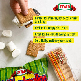 Toasted Ziyad marshmallows with a gooey center atop hot cocoa.