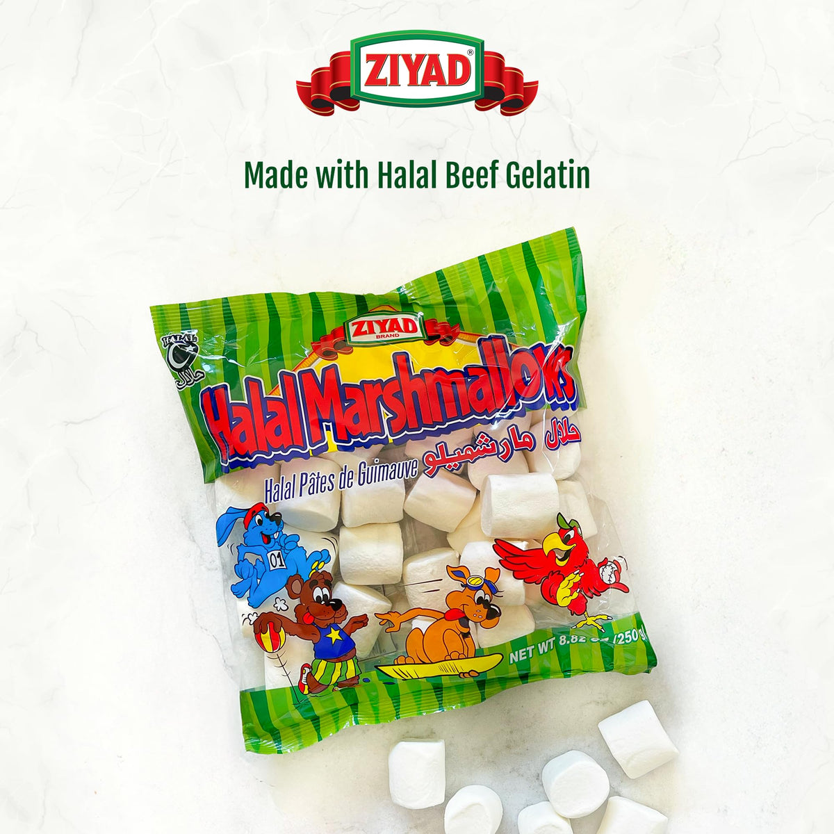 Ziyad marshmallows on a skewer over a campfire, ideal for s'mores.