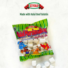 Ziyad marshmallows on a skewer over a campfire, ideal for s'mores.