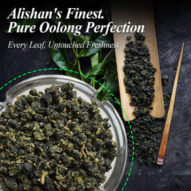 ZONE-365 high-mountain oolong batch offers a smooth aromatic cup.