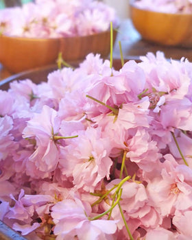 Zunhai Food fridge storage preserves fragrance and appearance